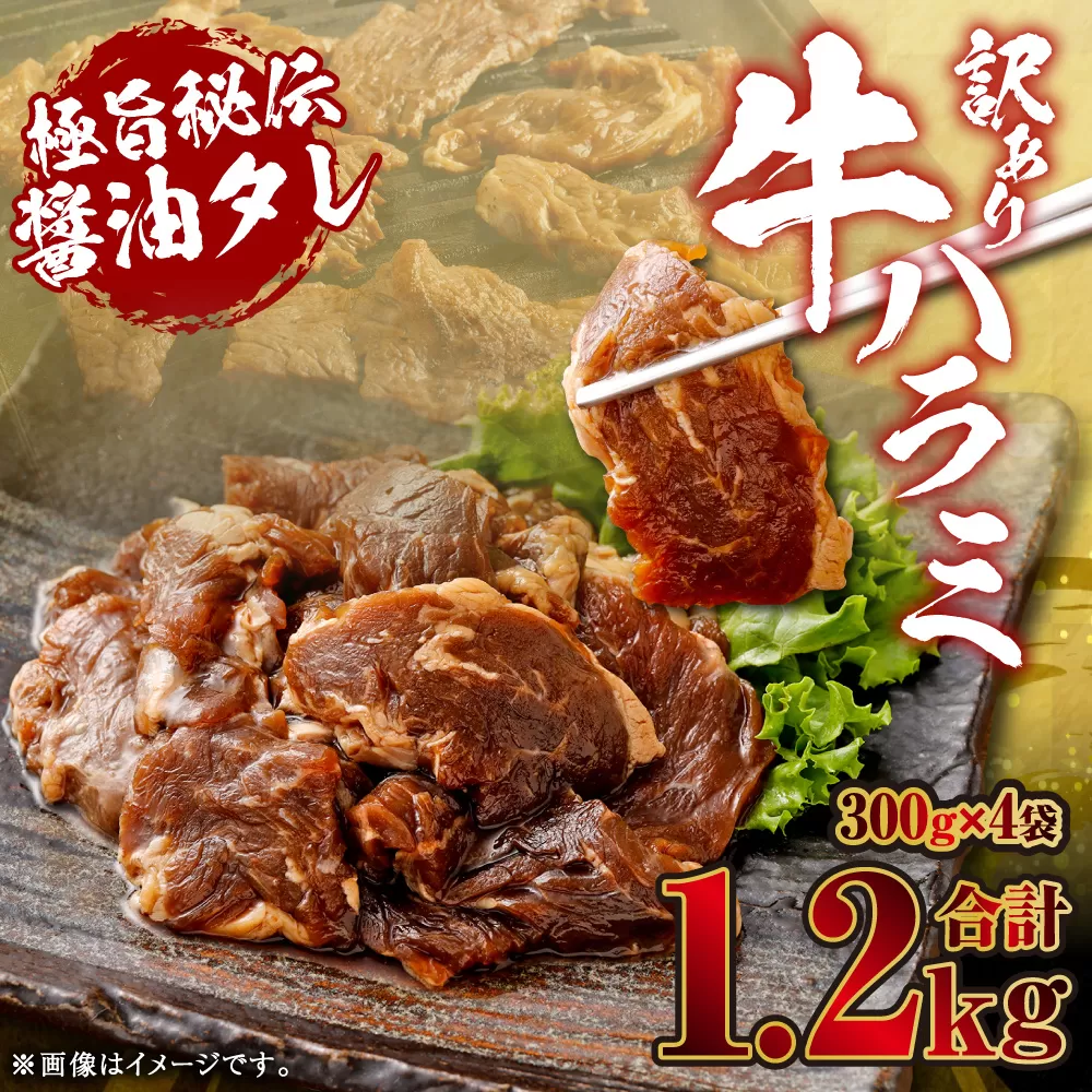 【先行予約】やわらか 牛ハラミ（サガリ）肉 極旨秘伝醤油タレ漬け 合計1.5kg（300g×5袋）【訳あり】【2025年6月下旬以降順次発送予定】ハラミ 牛肉 AS-194