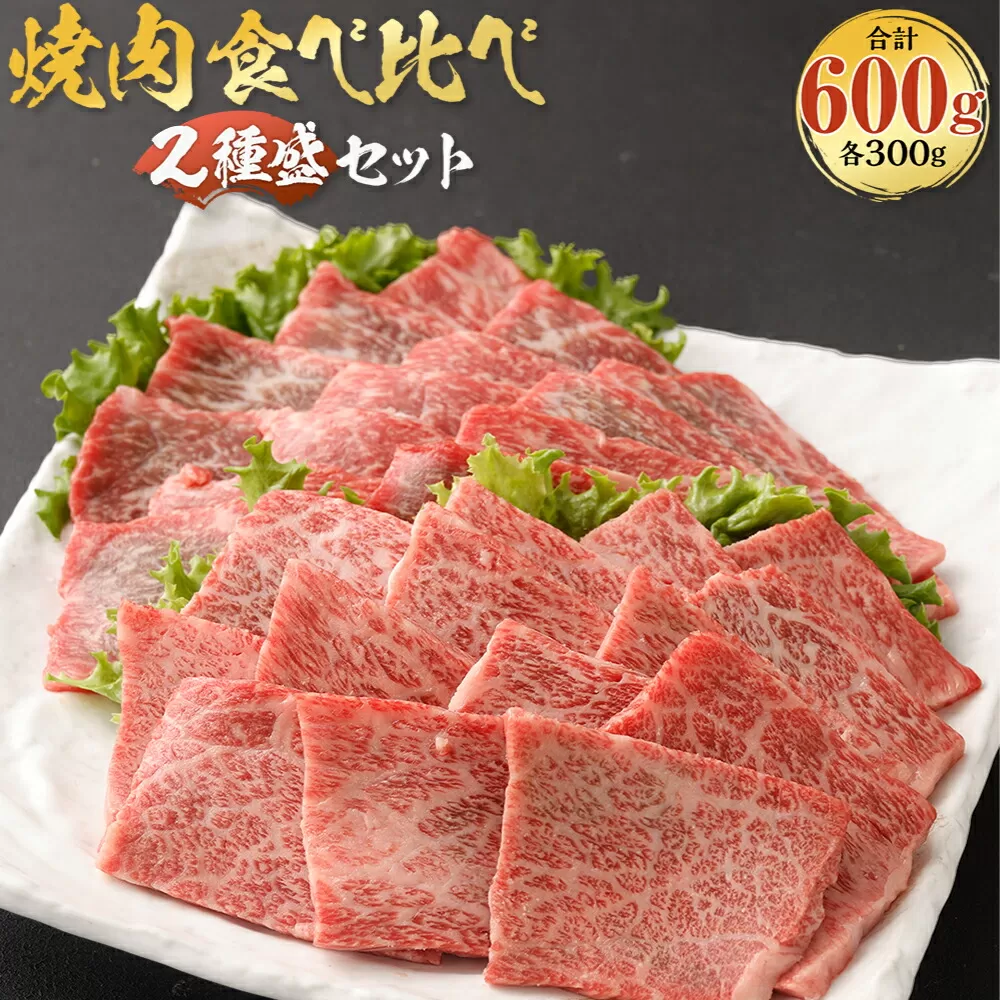 CS-309 北さつま髙崎牛 焼肉食べ比べセット(2種盛り合計600g) ロース 赤身