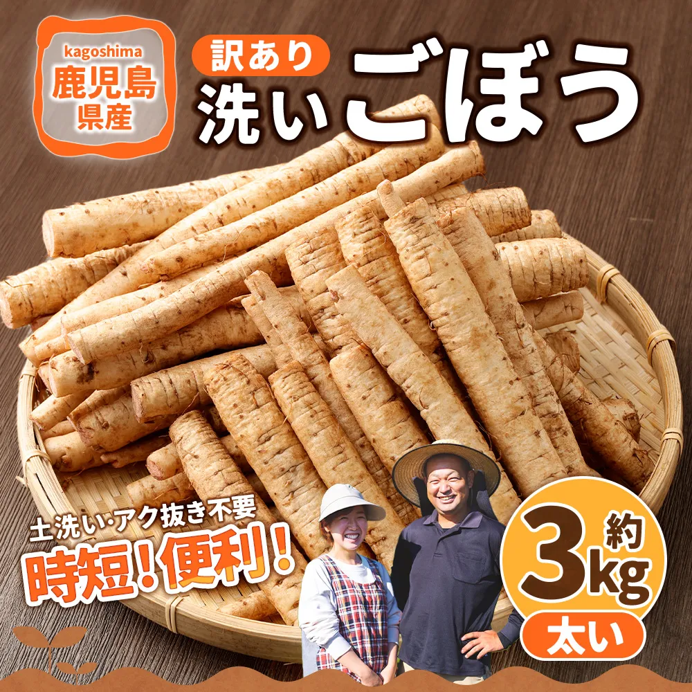 鹿児島県産 洗い【太い】 ごぼう 約3kg 【規格外・訳あり品】【2026年12月上旬-3月下旬発送予定】 ZS-9100