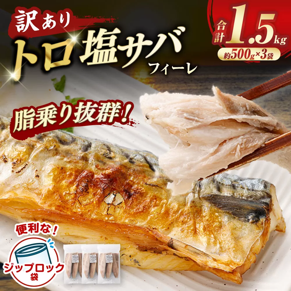 トロ塩サバフィーレ 約1.5kg 約500g×3袋 （A品、B品混合） 鯖 鯖フィレ 訳 さば サバ 冷凍 AS-383