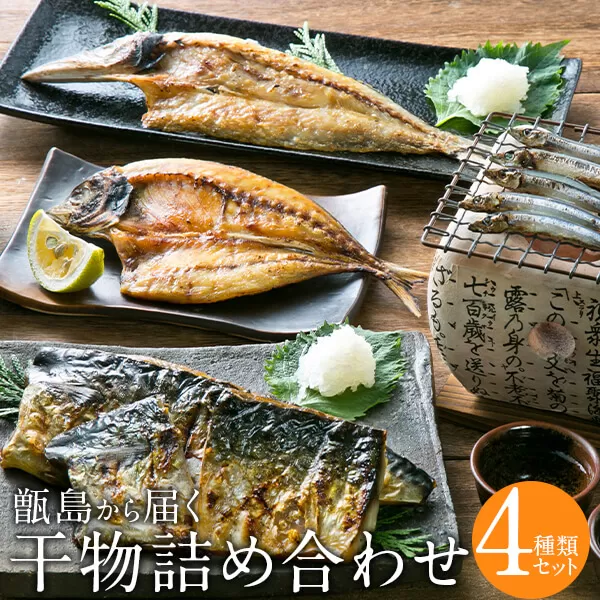 AS-2049 甑島の干物詰め合わせB