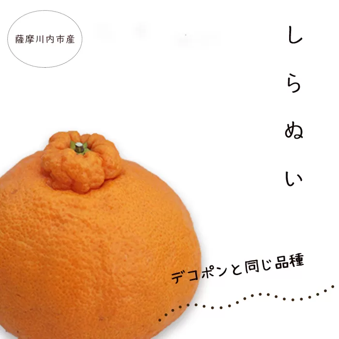 AS-2139 【訳あり】鹿児島県産しらぬい（デコポン同等品種） 約4kg 【2024年4月〜5月順次発送】