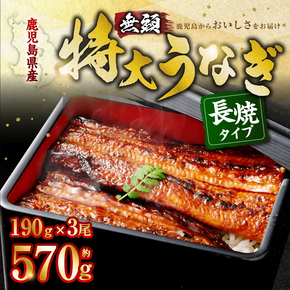 BS-338 鹿児島県産無頭特大うなぎ蒲焼約190g×3尾 合計約570g 食べごたえある3人前