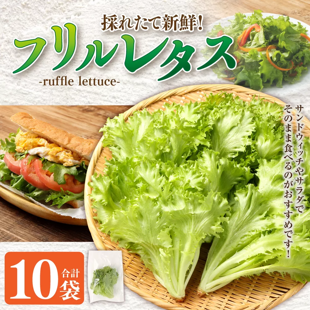AS-0125 フリルレタス 10袋セット フリルレタス 野菜 葉物 朝採れ 新鮮