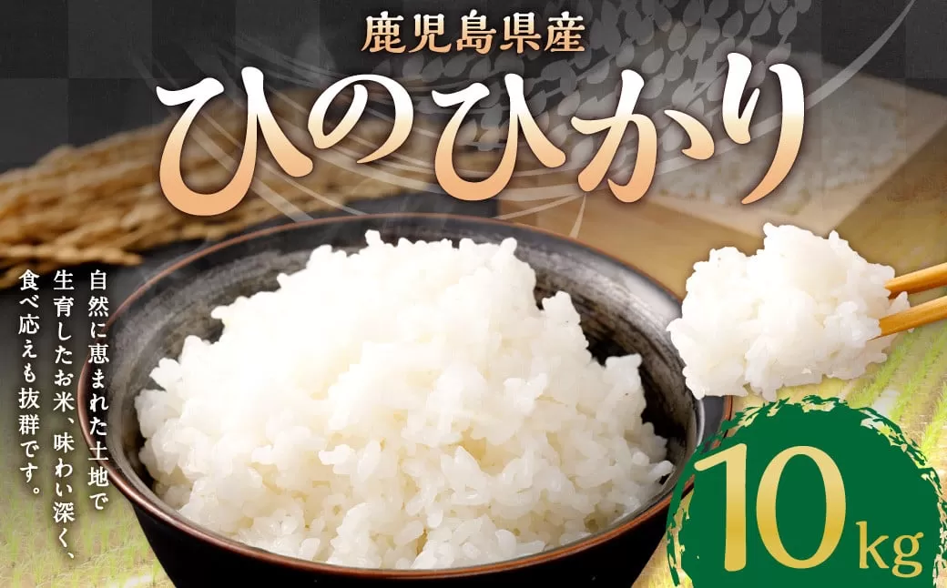 BS-086 【2025年10月中旬以降順次発送】【新米先行予約】【KODAMAFARMS】鹿児島県産 ひのひかり 10kg（5kg×2袋） KODA米 米 新米 精米 白米 お米