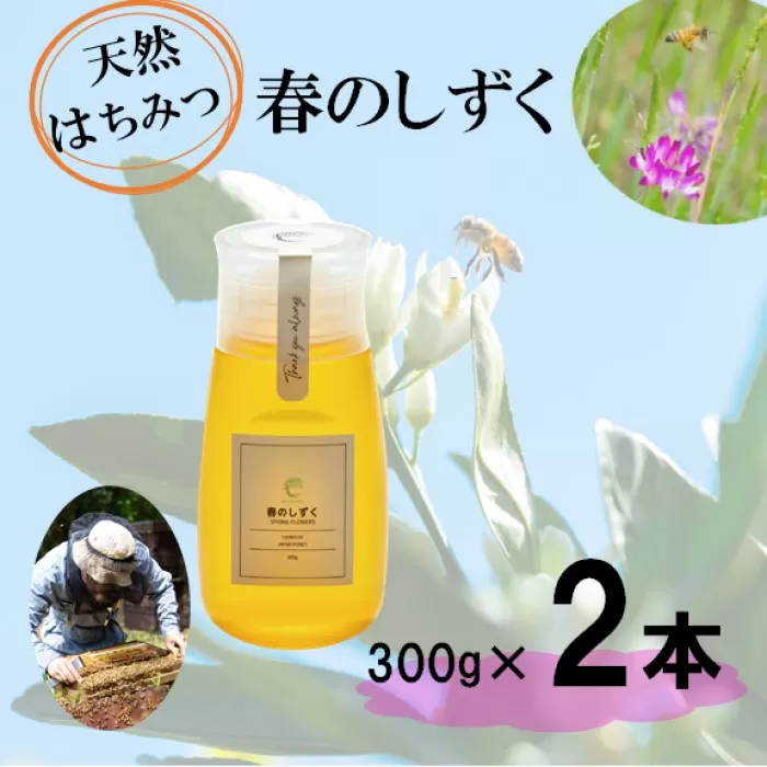 春のしずく2本セット 合計600g (300g×2本) 百花蜜 鹿児島 はちみつ 蜂蜜 小分け 鹿児島県産 薩摩川内市 東郷町 ふるさと納税 AS-8109