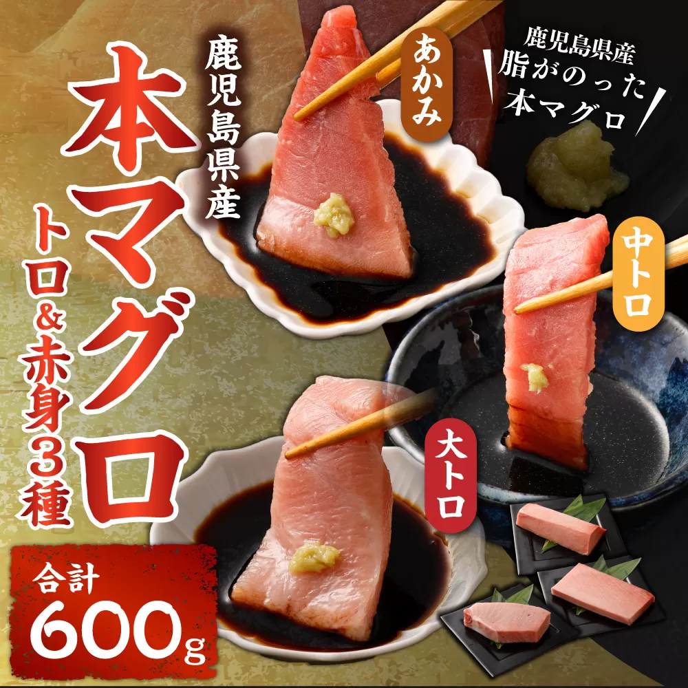 DSR-113 鹿児島県産本マグロ トロ＆赤身 3種セット 合計600g 本マグロ トロ 赤身 マグロ 魚 刺身 刺し身
