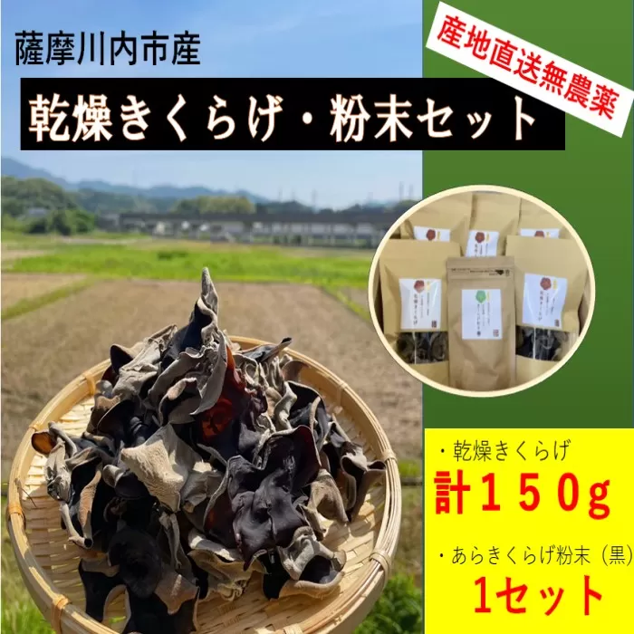 DS-006 薩摩川内市産の乾燥きくらげ・粉末セット