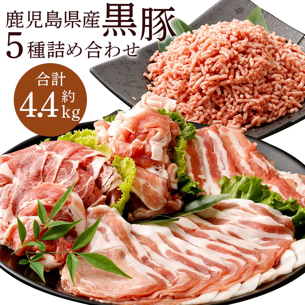 DS-213 鹿児島県産黒豚 5種詰合せ(約4.4kg)