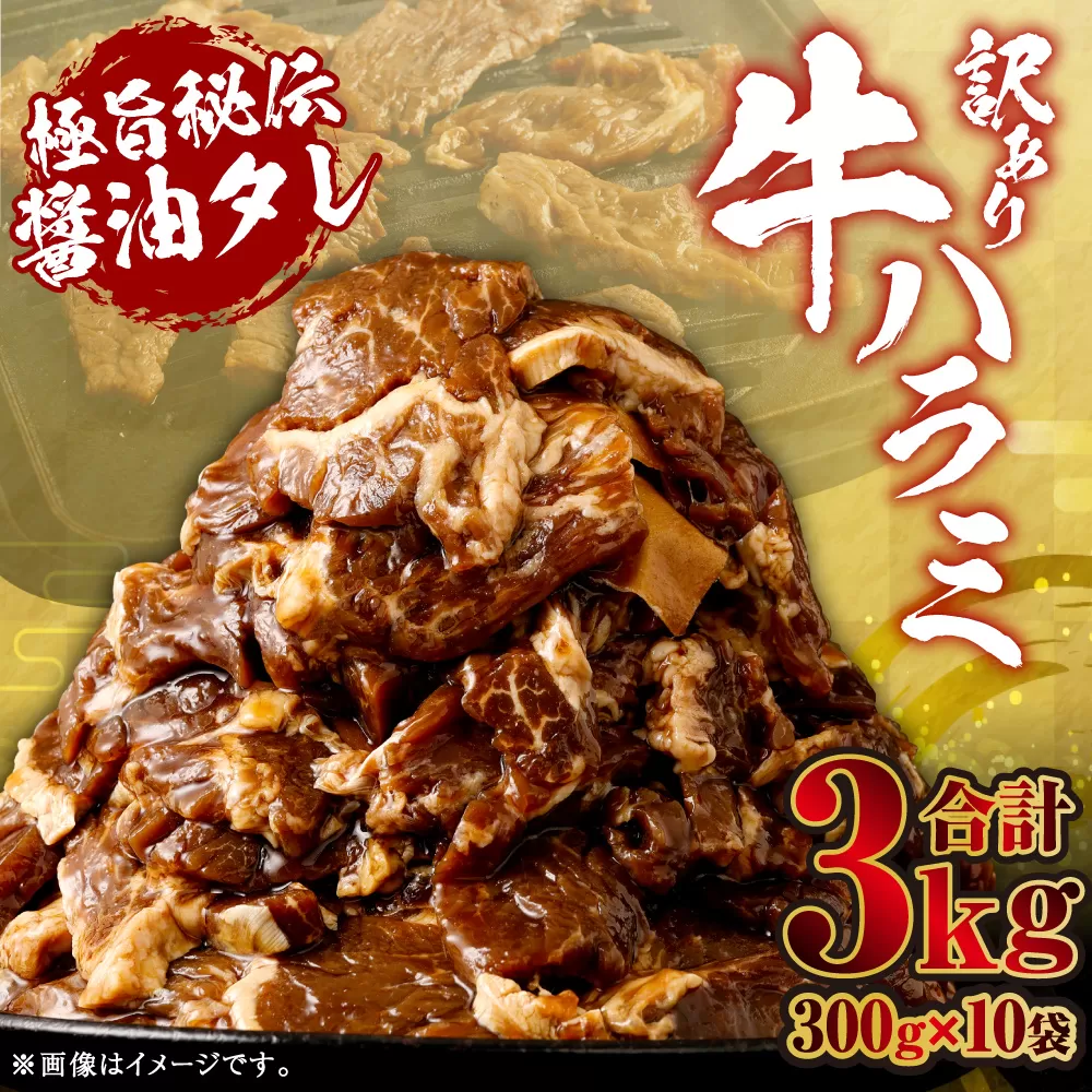 【先行予約】やわらか 牛ハラミ（サガリ）肉 極旨秘伝醤油タレ漬け 合計3.0kg（300g×10袋）【訳あり】【2025年6月下旬以降順次発送予定】ハラミ 牛肉 BS-147