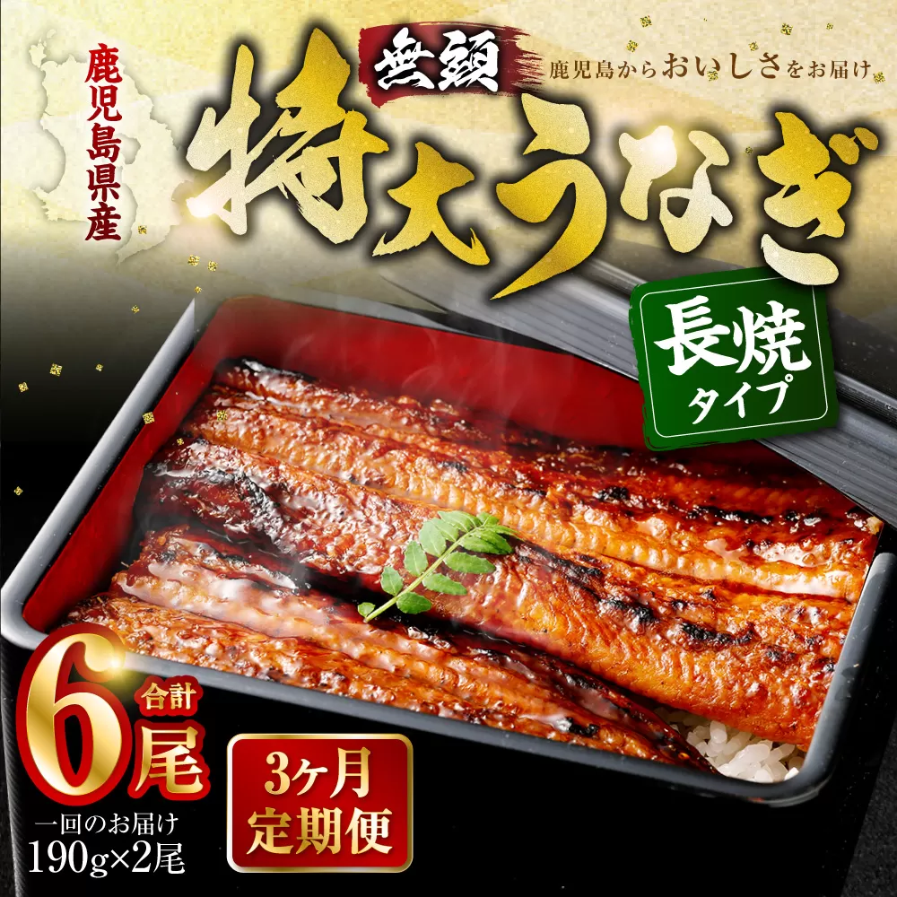 【3ヶ月定期便】鹿児島県産無頭特大うなぎ蒲焼約190g×2尾×3回 鹿児島 うなぎ 蒲焼 個包装 小分け 定期便 国産 DS-605　