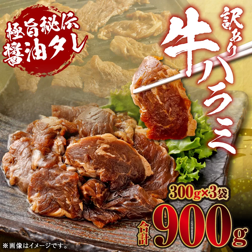 【先行予約】やわらか 牛ハラミ（サガリ）肉 極旨秘伝醤油タレ漬け 合計900g（300g×3袋）【訳あり】【2025年6月下旬以降順次発送予定】ハラミ 牛肉 ZS-803