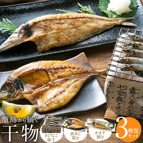 ZS-917 甑島の干物3点セット