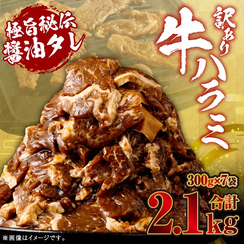 【先行予約】やわらか 牛ハラミ（サガリ）肉 極旨秘伝醤油タレ漬け 合計2.1kg（300g×7袋）【訳あり】【2025年6月下旬以降順次発送予定】ハラミ 牛肉 AS-578