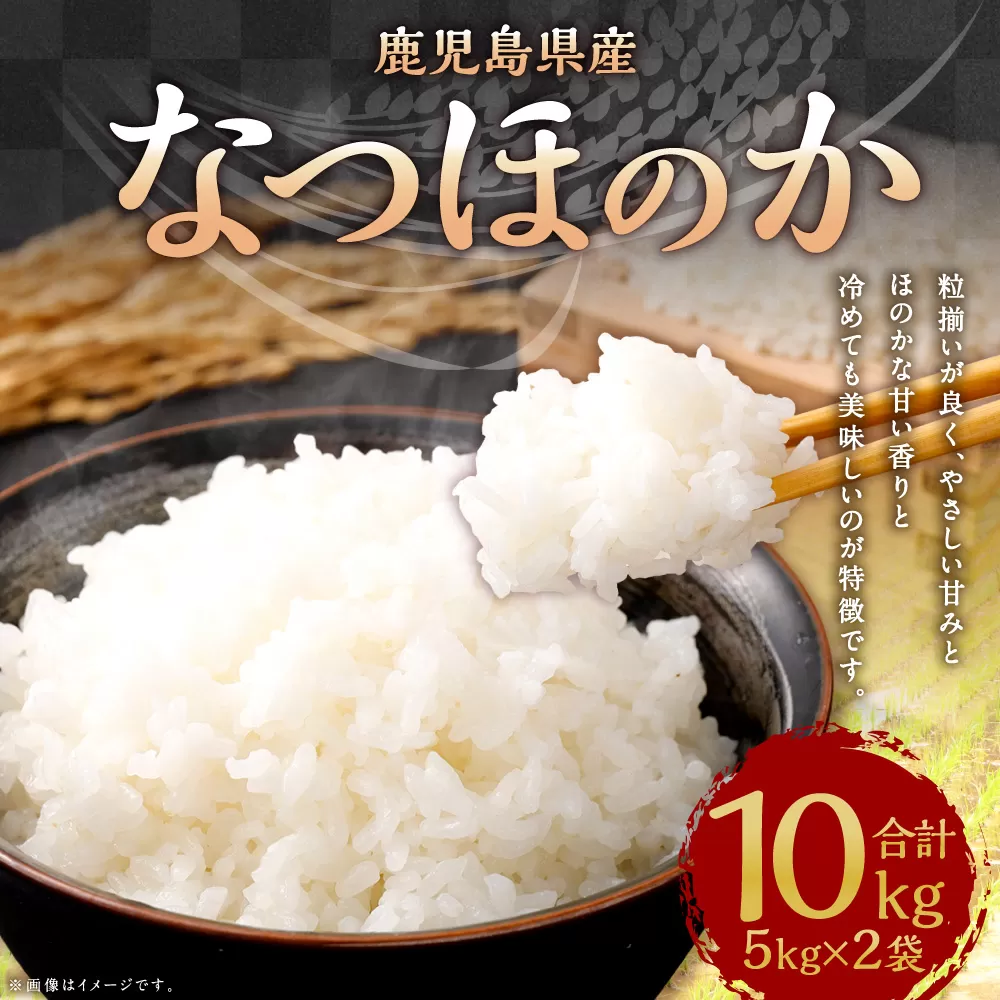 BS-843 【KODAMAFARMS】【新米先行予約】 鹿児島県産 なつほのか 10kg（5kg×2袋） KODA米 【2025年9月中旬以降順次発送】 精米 米 お米