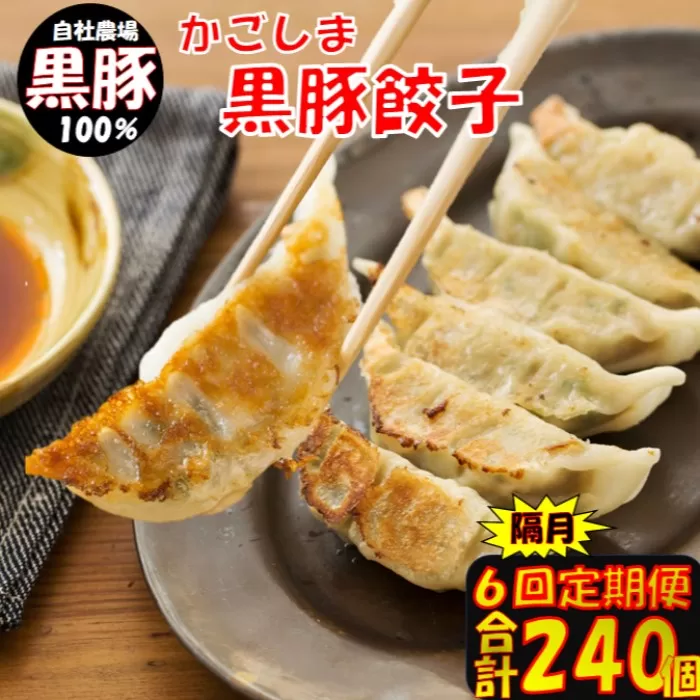 ES-502 【隔月6回定期便】かごしま黒豚餃子 合計240個 ぎょうざ ギョーザ 薩摩八重ファーム 工房みかく亭
