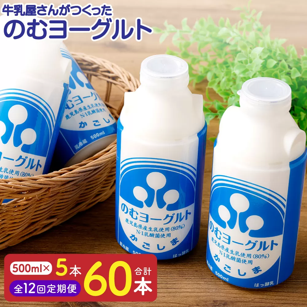 【12回定期便】“牛乳屋さんがつくった”のむヨーグルト 500ml×5本×12回 合計30L 無添加 県酪農協牛乳 HS-307