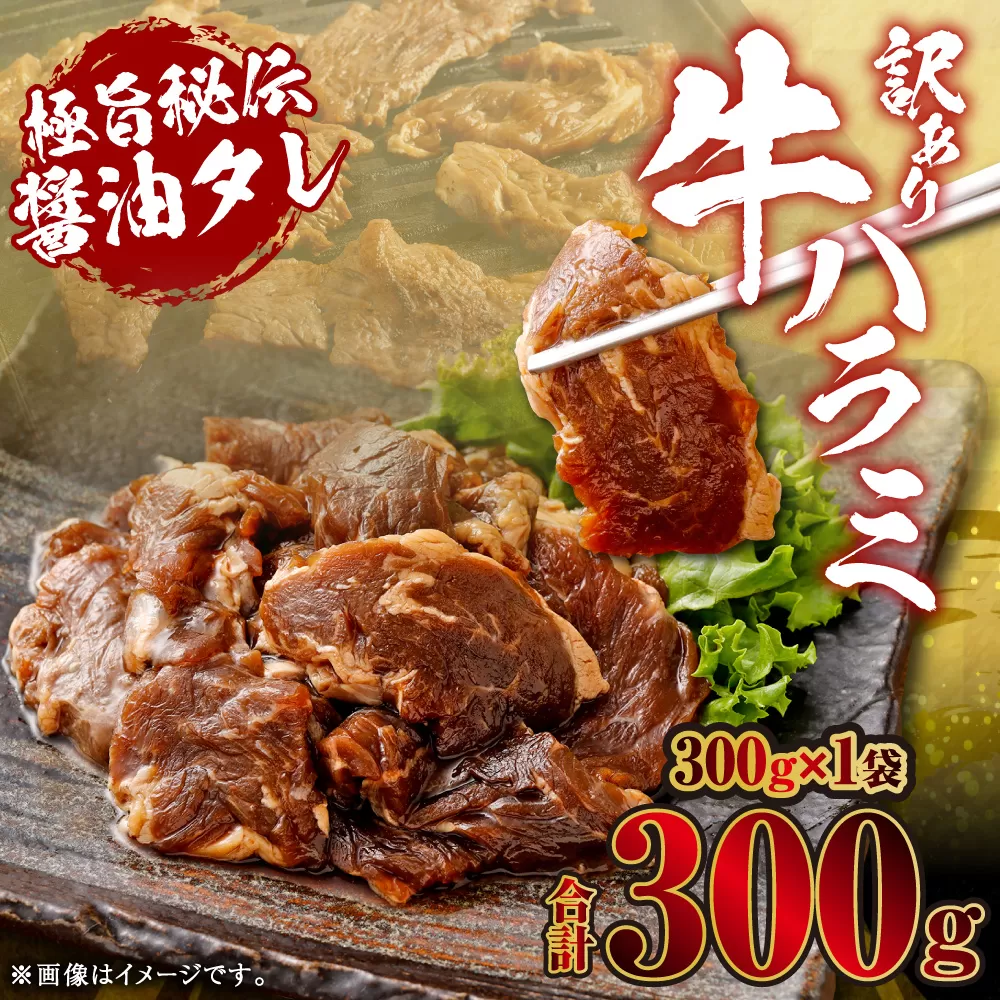 【先行予約】やわらか 牛ハラミ（サガリ）肉 極旨秘伝醤油タレ漬け 合計300g（300g×1袋）【訳あり】【2025年6月下旬以降順次発送予定】ハラミ 牛肉 ZS-553