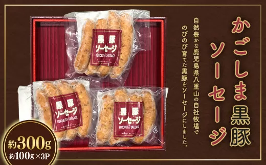 ZS-660 かごしま黒豚ソーセージ 約300g(約100g×3パック)