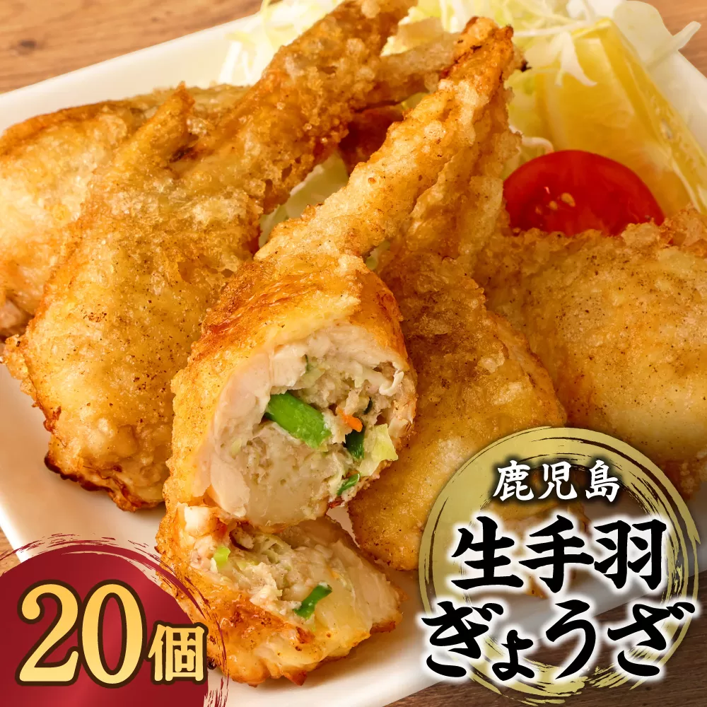AS-713 鹿児島生 手羽ぎょうざ (20本) 餃子のタレ付き
