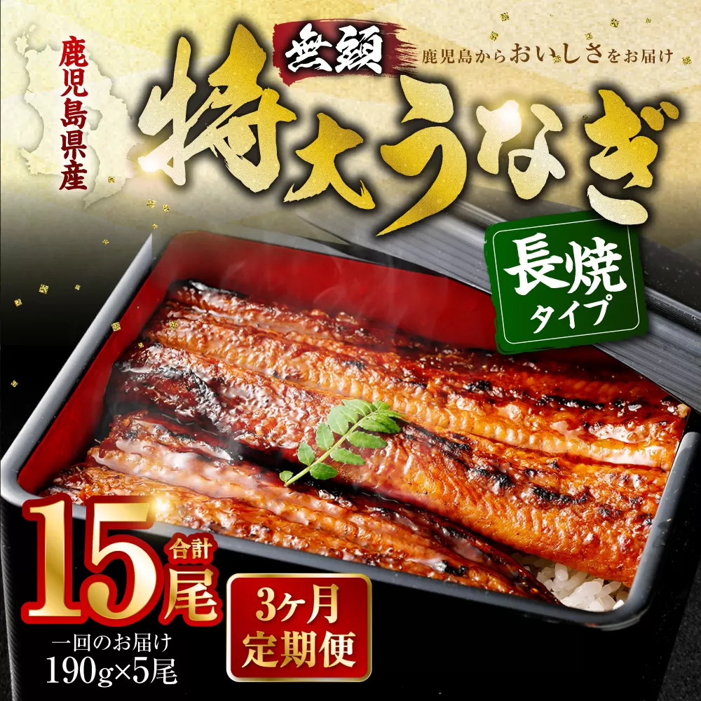 JS-224【3ヶ月定期便】鹿児島県産無頭特大うなぎ蒲焼約190g×5尾×3回