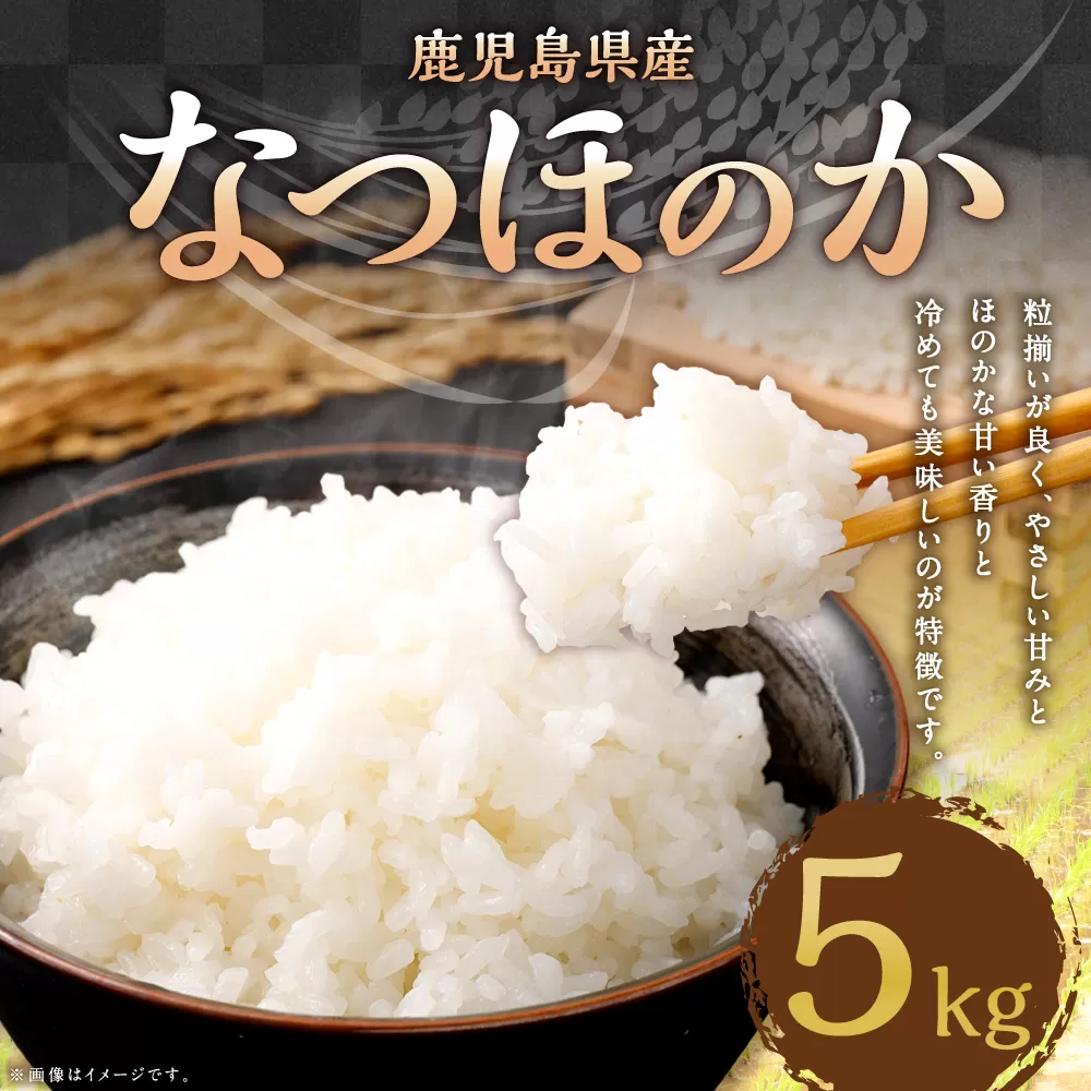 AS-481 【新米先行予約】【KODAMAFARMS】鹿児島県産 なつほのか 5kg KODA米 【2025年9月中旬以降順次発送】 精米 米 お米