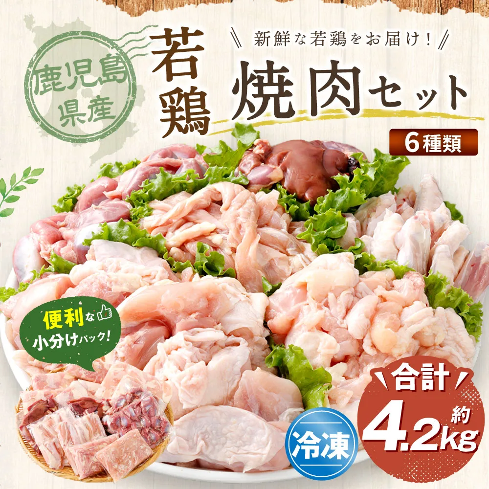 鹿児島県産 若鶏焼肉 約4.2kgセット 若鶏 もも肉 モモ肉 カット 肝 砂肝 手羽中 せせり 焼肉 小分け 鶏肉 冷凍 BS-226