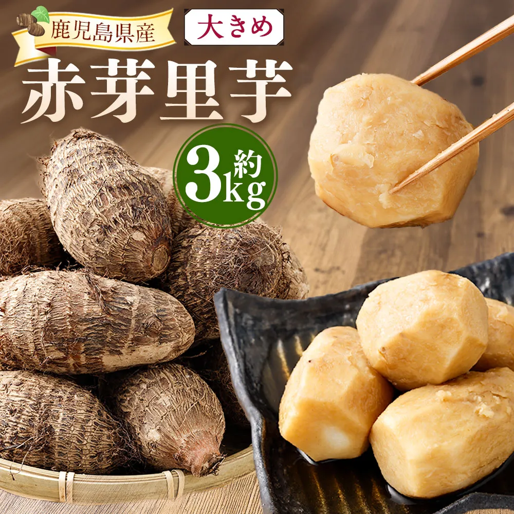 大きめ 赤芽里芋 約3kg 鹿児島県産 ねっとり濃厚 上品な旨味 【2027年1月中旬～3月中旬発送予定】 さといも 赤芽 里芋 ZS-6139