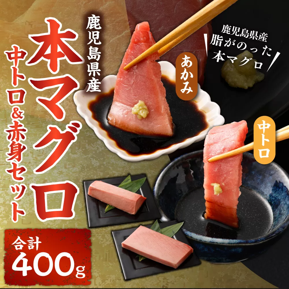 BS-379 鹿児島県産本マグロ 中トロ＆赤身セット 合計400g 本マグロ 大トロ 赤身 刺し身 セット 魚