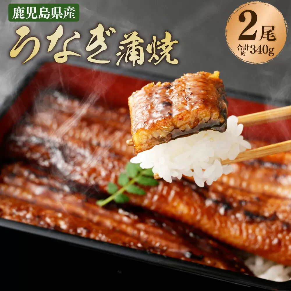 AS-841 鹿児島県産うなぎ蒲焼  170g×2尾