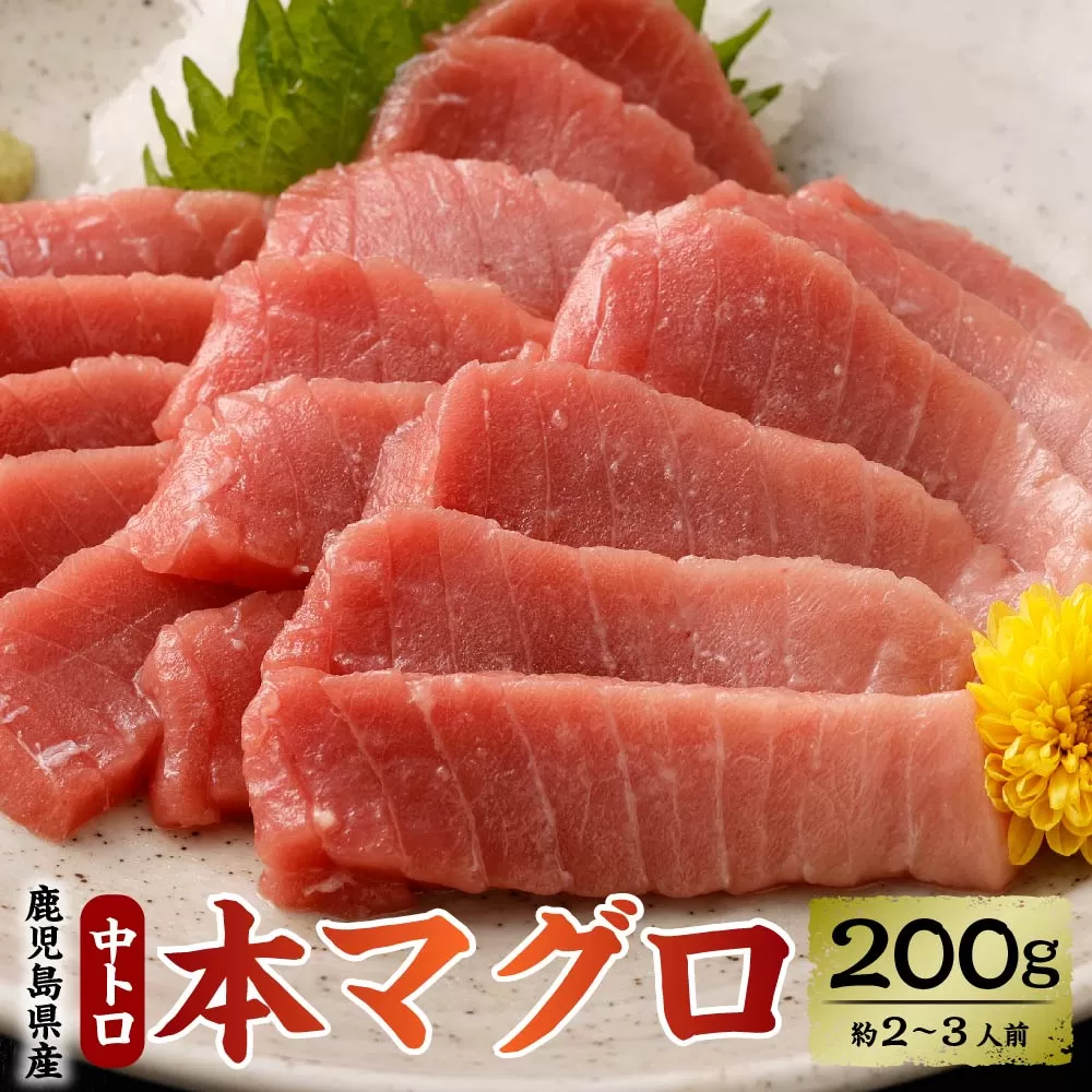 AS-401 鹿児島県産 本マグロ（黒マグロの中トロ）200g(約2〜3人前)