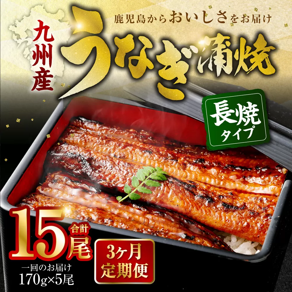 JS-224【3カ月定期便】 九州産うなぎ蒲焼 約170g×5尾×3回
