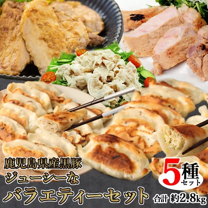 鹿児島県産黒豚 ジューシーなバラエティーセット 5種 合計約2.8kg