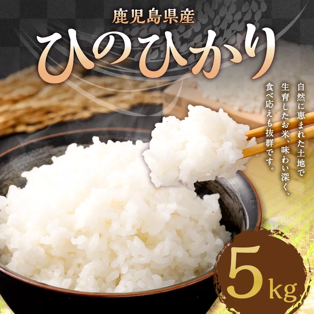 【新米先行予約】【KODAMAFARMS】鹿児島県産 ひのひかり 5kg KODA米 米 新米 精米 白米 お米 【2026年1月下旬以降順次発送】 AS-365