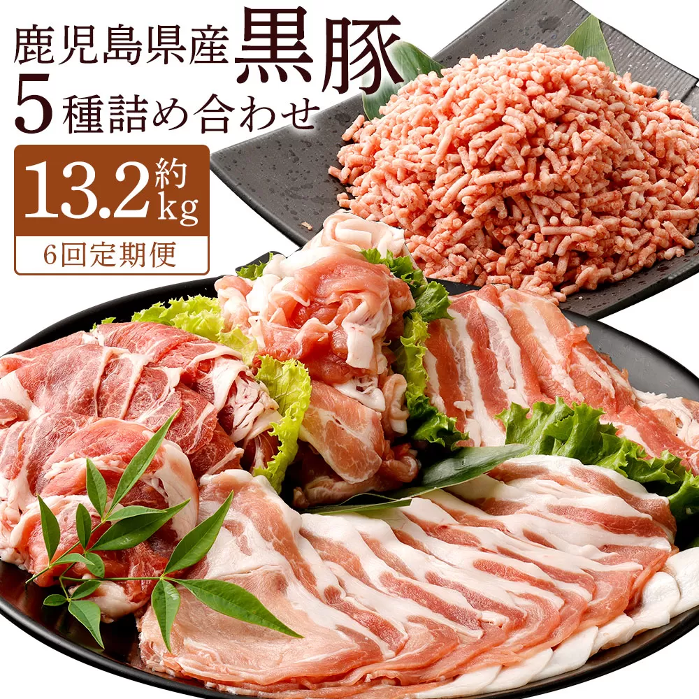 JS-306 【6ヶ月定期便】鹿児島県産黒豚 5種詰合せ(約2.2kg×6回)