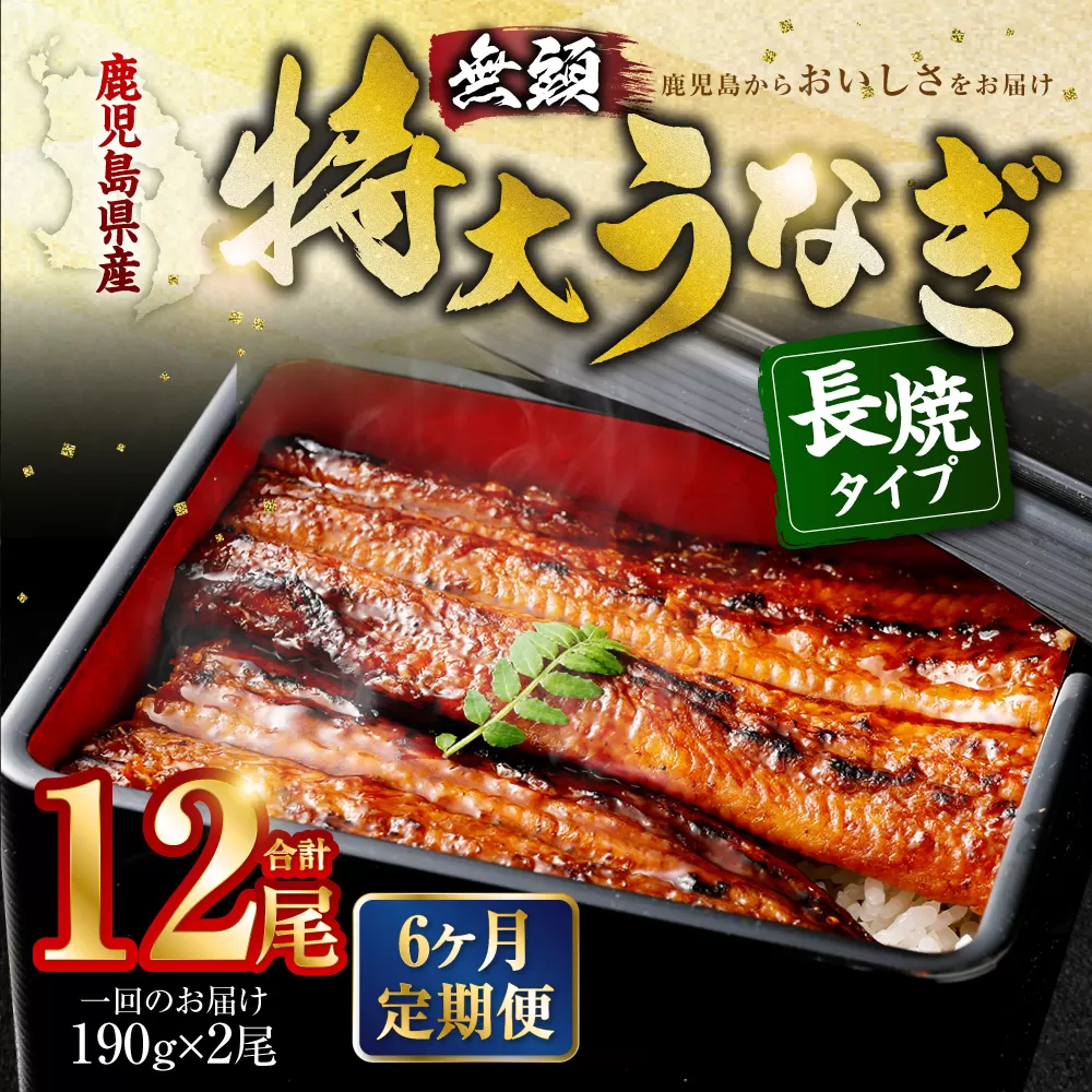 IS-210【6ヶ月定期便】鹿児島県産無頭特大うなぎ蒲焼約190g×2尾×6回 うなぎ 蒲焼 鹿児島県 薩摩川内市