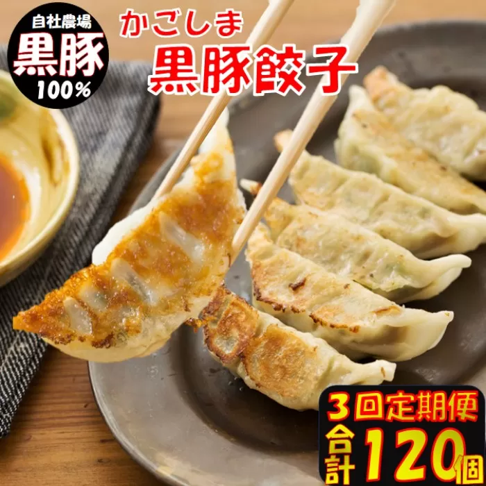 BS-820 【3回定期便】かごしま黒豚餃子 合計120個 ぎょうざ ギョーザ 薩摩八重ファーム 工房みかく亭