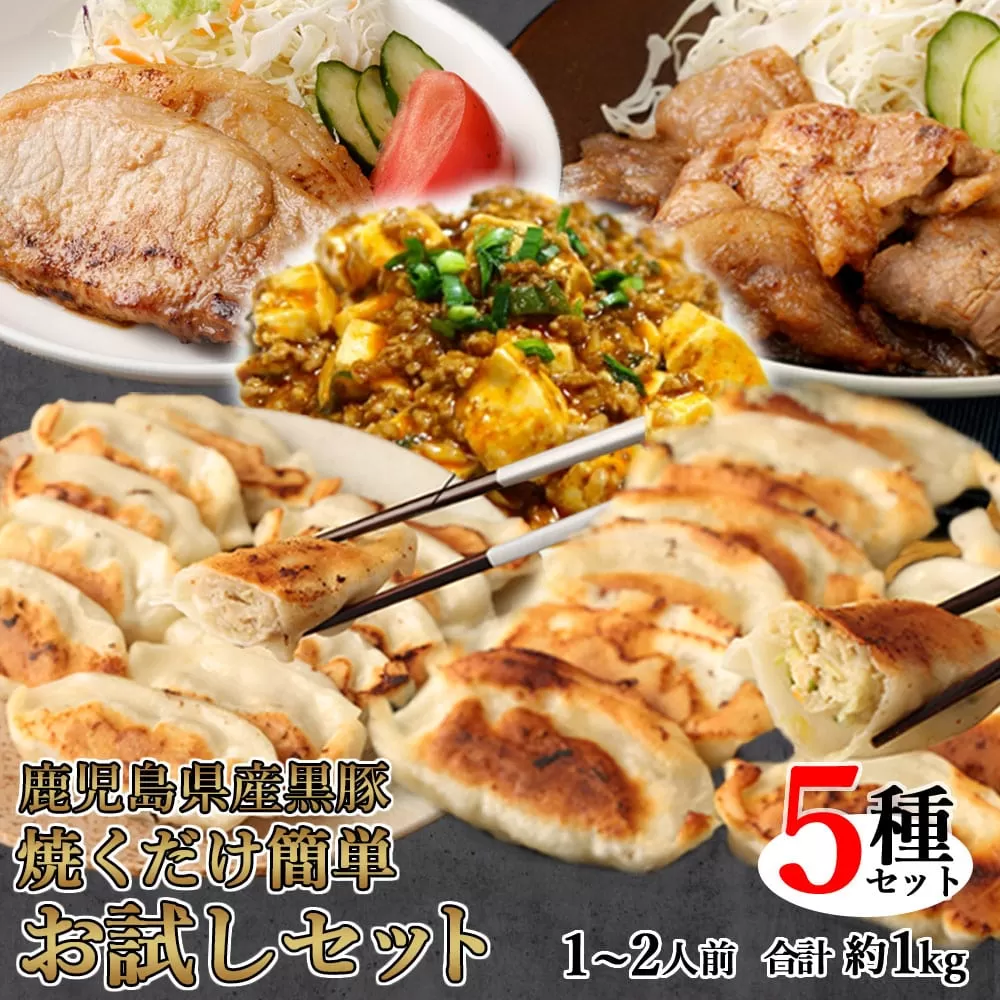 AS-064 鹿児島県産黒豚 焼くだけ簡単 お試しセット 5種 1〜2人前 合計約1kg