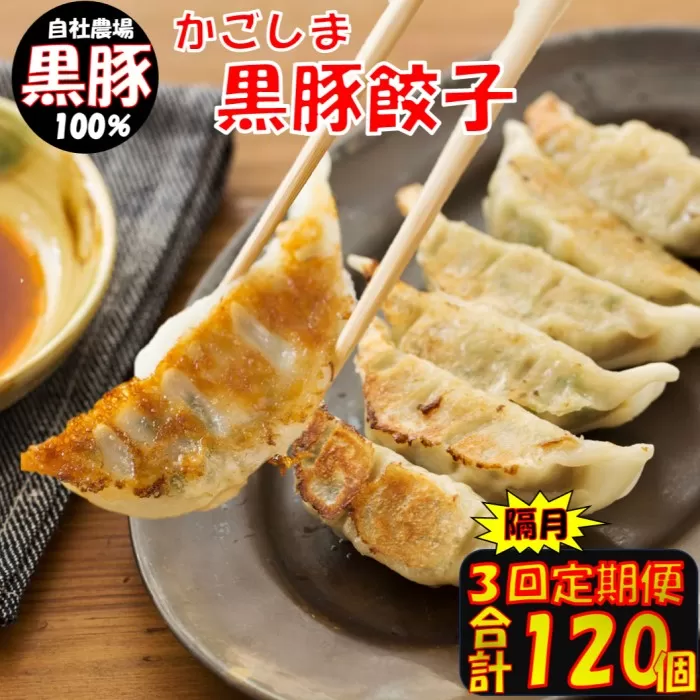 BS-819 【隔月3回定期便】かごしま黒豚餃子 合計120個 ぎょうざ ギョーザ 薩摩八重ファーム 工房みかく亭