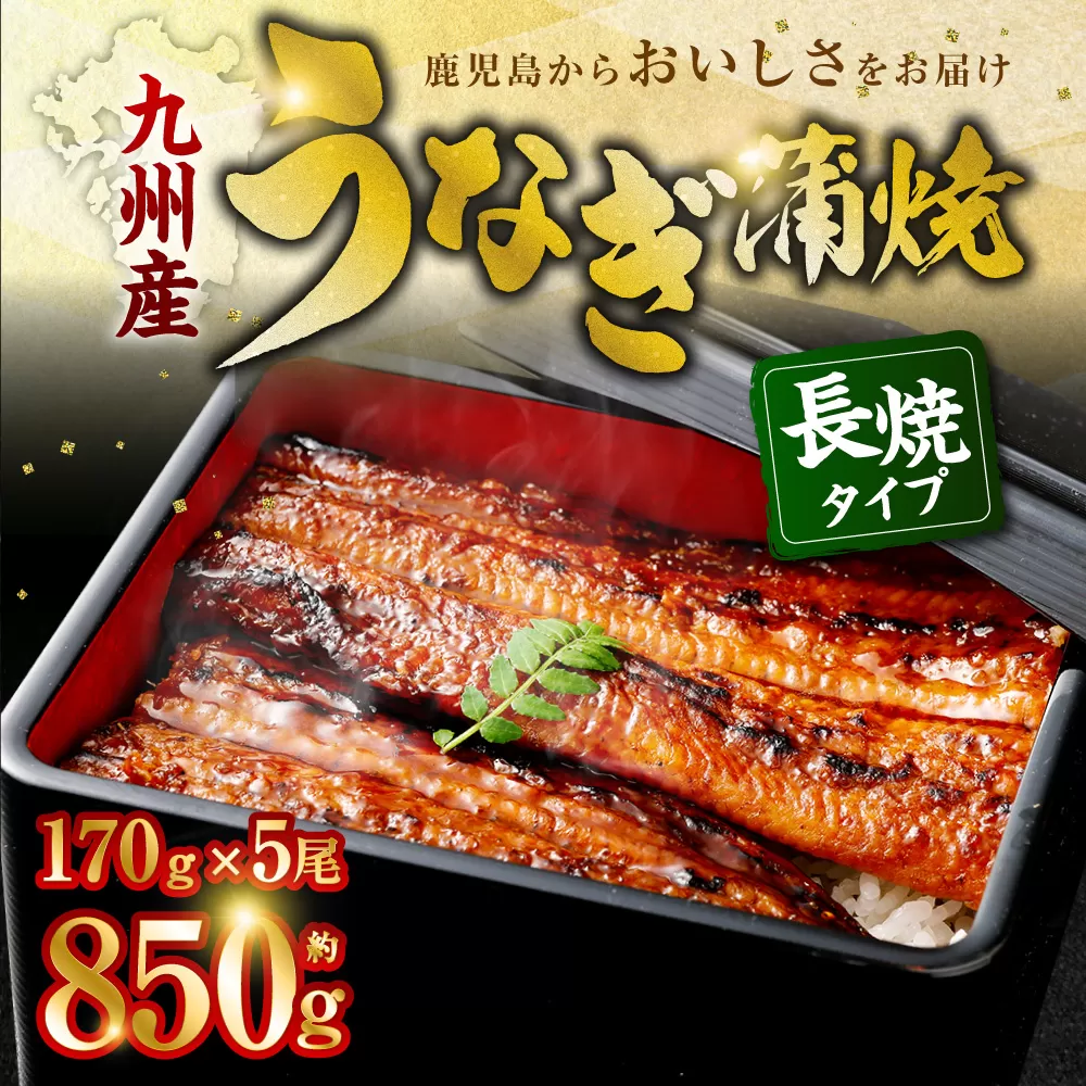 DSR-102 九州産　無頭うなぎ蒲焼き 約170g×5尾
