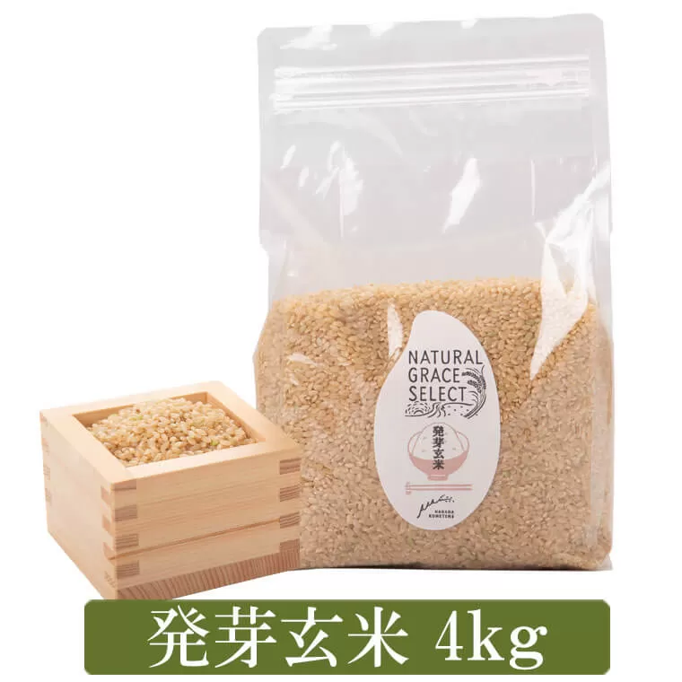BS-376 発芽玄米 4kg(1kg×4袋)