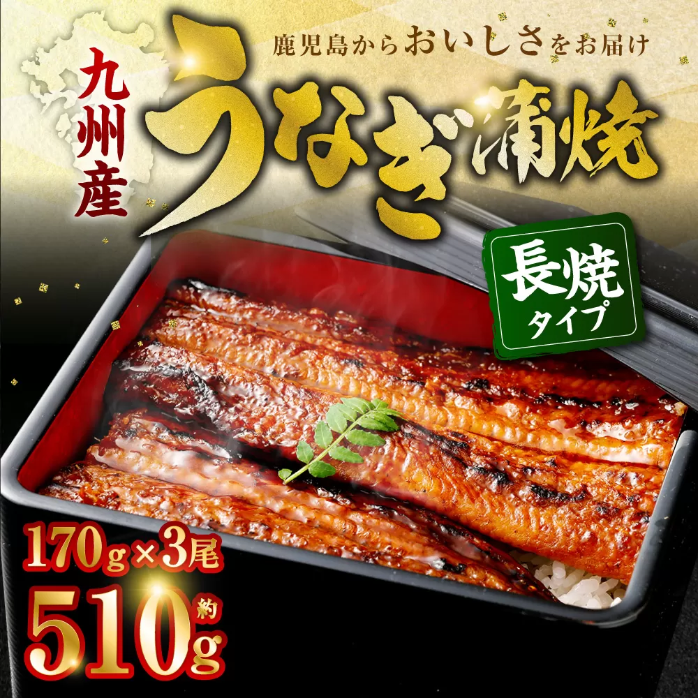 BS-338 九州産うなぎ蒲焼 3尾 食べごたえある3人前