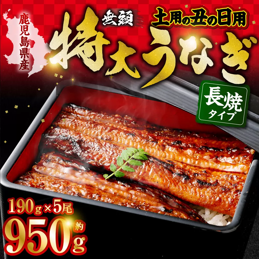 【丑の日用】鹿児島県産無頭特大うなぎ蒲焼約190g×5尾　合計約950g CSR-701