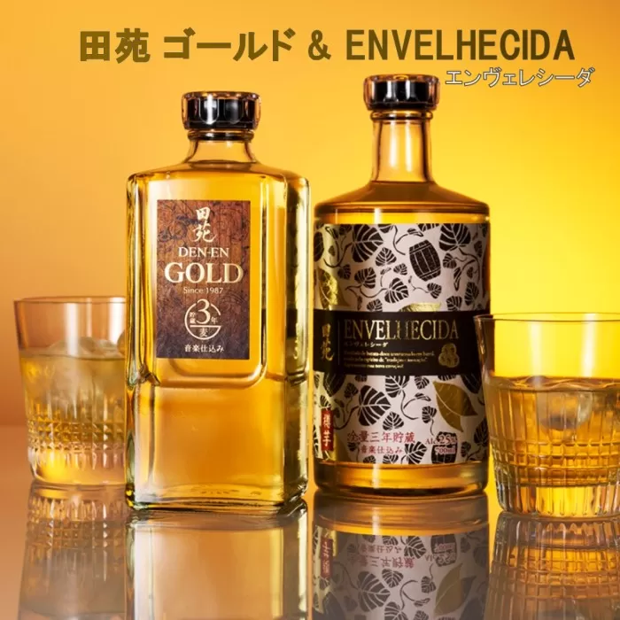 AS-527 田苑 ゴールド＆ENVELHECIDAセット