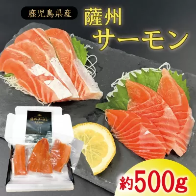 薩州サーモン 500g 鮭 刺身 さしみ 養殖 鹿児島 国産 養殖 サーモン  AS-2228