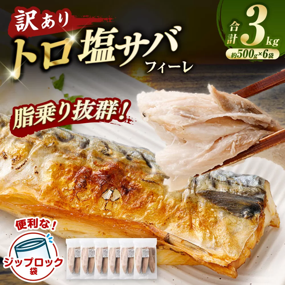 トロ塩サバフィーレ 約3.0kg 約500g×6袋 （A品、B品混合） 鯖 鯖フィレ 訳 さば サバ 冷凍 BS-554