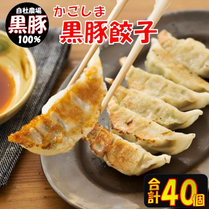 AS-021 かごしま黒豚餃子2箱 合計40個 ぎょうざ ギョーザ 薩摩八重ファーム 工房みかく亭