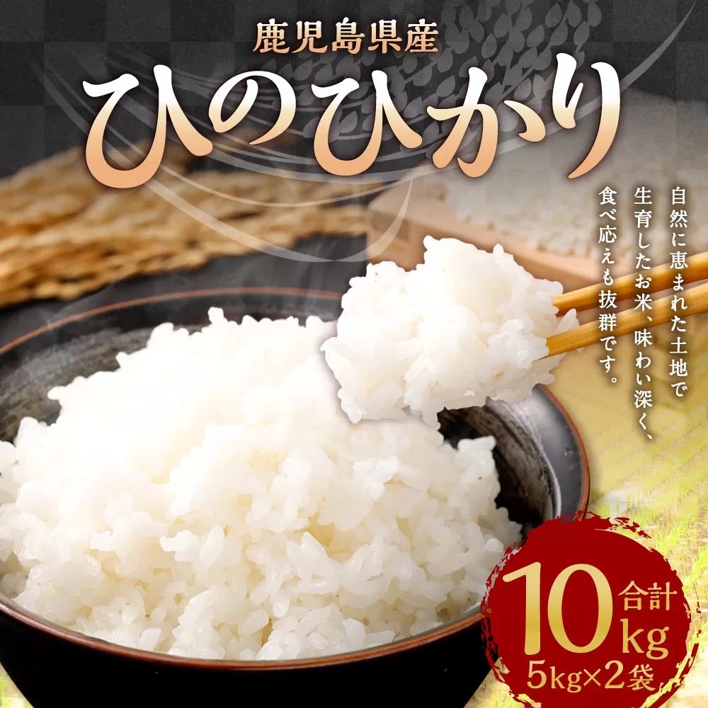 【新米先行予約】【KODAMAFARMS】鹿児島県産 ひのひかり 10kg（5kg×2袋） KODA米 米 新米 精米 白米 お米 【2026年1月下旬以降順次発送】 BS-642