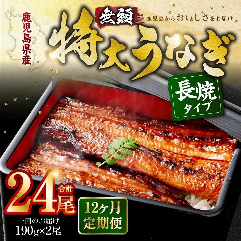 KS-103【12ヶ月定期便】鹿児島県産無頭特大うなぎ蒲焼約190g×2尾×12回