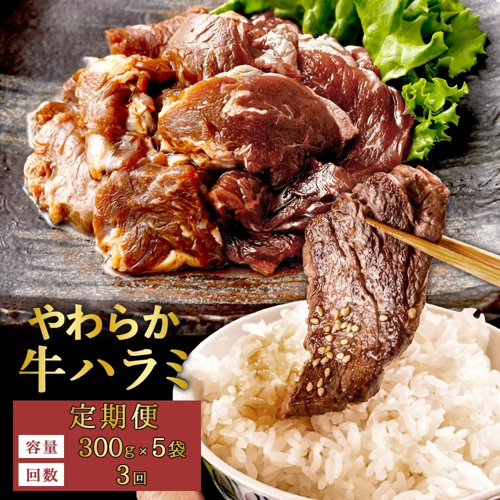 【3回定期便】やわらか 牛ハラミ（サガリ）肉 極旨秘伝醤油タレ漬け（300g×5袋）訳あり ハラミ 牛肉 個包装 焼肉 CS-554